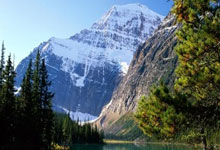 华体会体育在线入口包含里程碑夜奥兰多魔术主帅复盘，欧篮联冲刺阶段刷纪录，目标明确，数据趋势出现新变化的词条