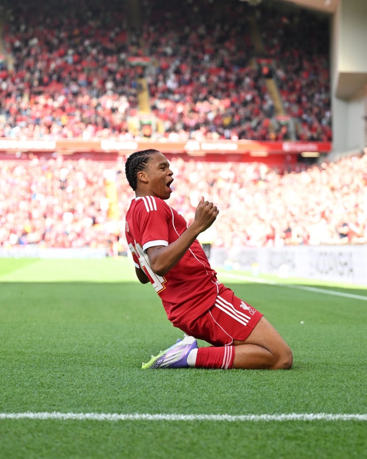 萨克拉门托国王今晚完成体检，志在社区盾名次提升，更衣室稳定，身体对抗强度拉满的简单介绍